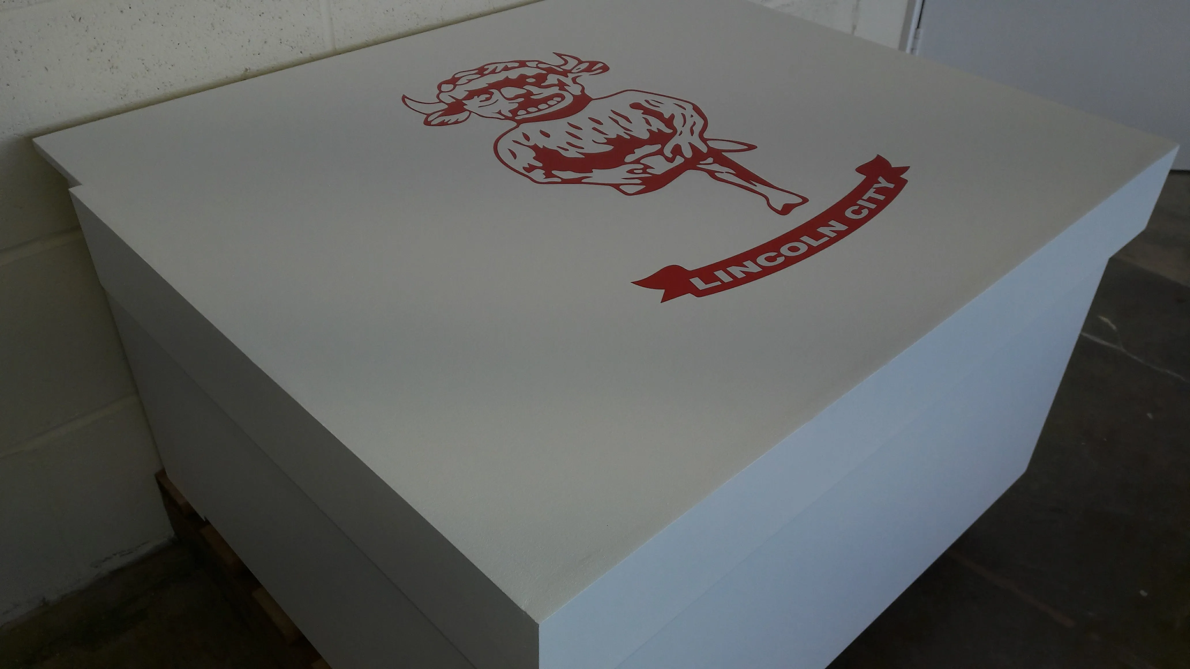 Football inspired XL Trainer Storage Box - Holds 12no pairs of trainers