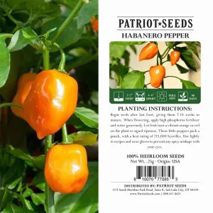 Heirloom Habanero Pepper Seeds (.25g) by Patriot Seeds